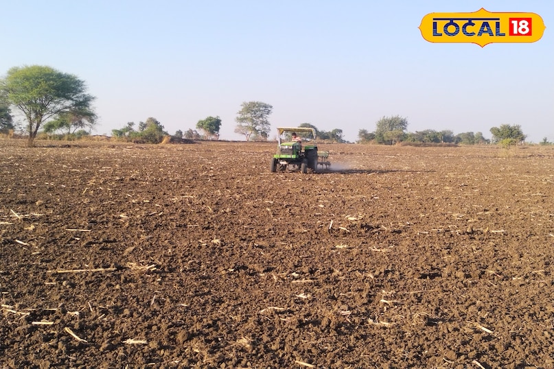 नया आलू बाजार में आ गया