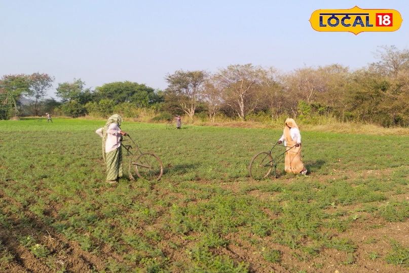 हाय कजरिया बढ़ाएं