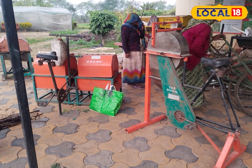 आलू चिप्स से पैसे कमाए