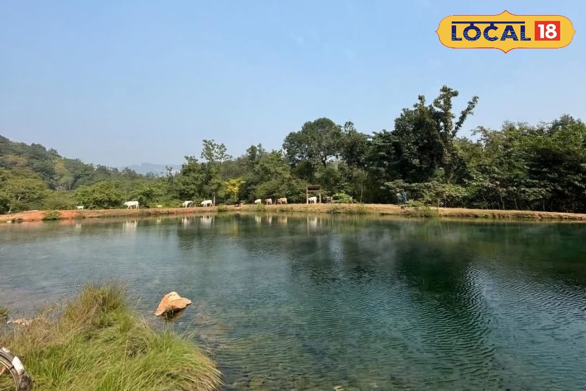 बिहार का ये है बेस्ट पिकनिक स्पॉट, यहां ठंड में भी नदी से बहता है गर्म पानी