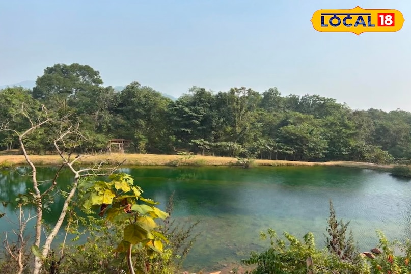 Tourism, tourism in Bihar, hill station near Bihar, tourist places, vacations places in Bihar, Hill station, छुट्टियों में कहां घूमें, बिहार की सबसे अच्छी जगह कौन सी है, local 18, Bihar Tourism, tourism in Bihar, hill station near Bihar, tourist places, vacations places in Bihar, Hill station, छुट्टियों में कहां घूमें, बिहार की सबसे अच्छी जगह कौन सी है, local 18, Bihar