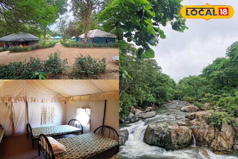 न्यू ईयर ट्रिप के लिए परफेक्ट हैं बिलासपुर की ये जगहें, खूबसूरती में बाली को भी देती हैं मात न्यू ईयर ट्रिप के लिए परफेक्ट हैं बिलासपुर की ये जगहें, खूबसूरती में बाली को भी देती हैं मात