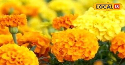 प्रतीकात्मक