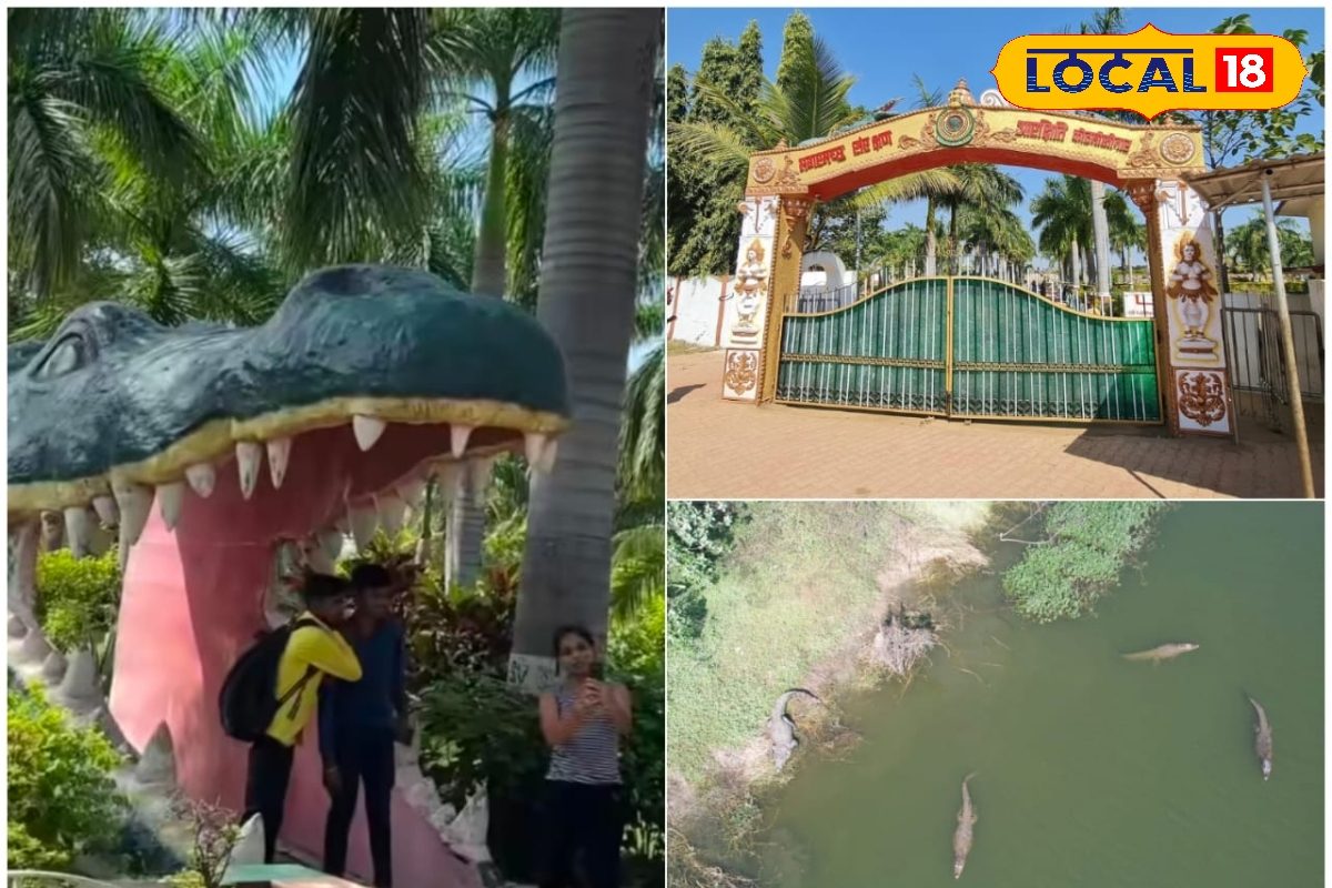 नए साल पर कहां जाएं? तो आपके लिए जांजगीर-चांपा के 5 टूरिस्ट स्पॉट हैं परफेक्ट