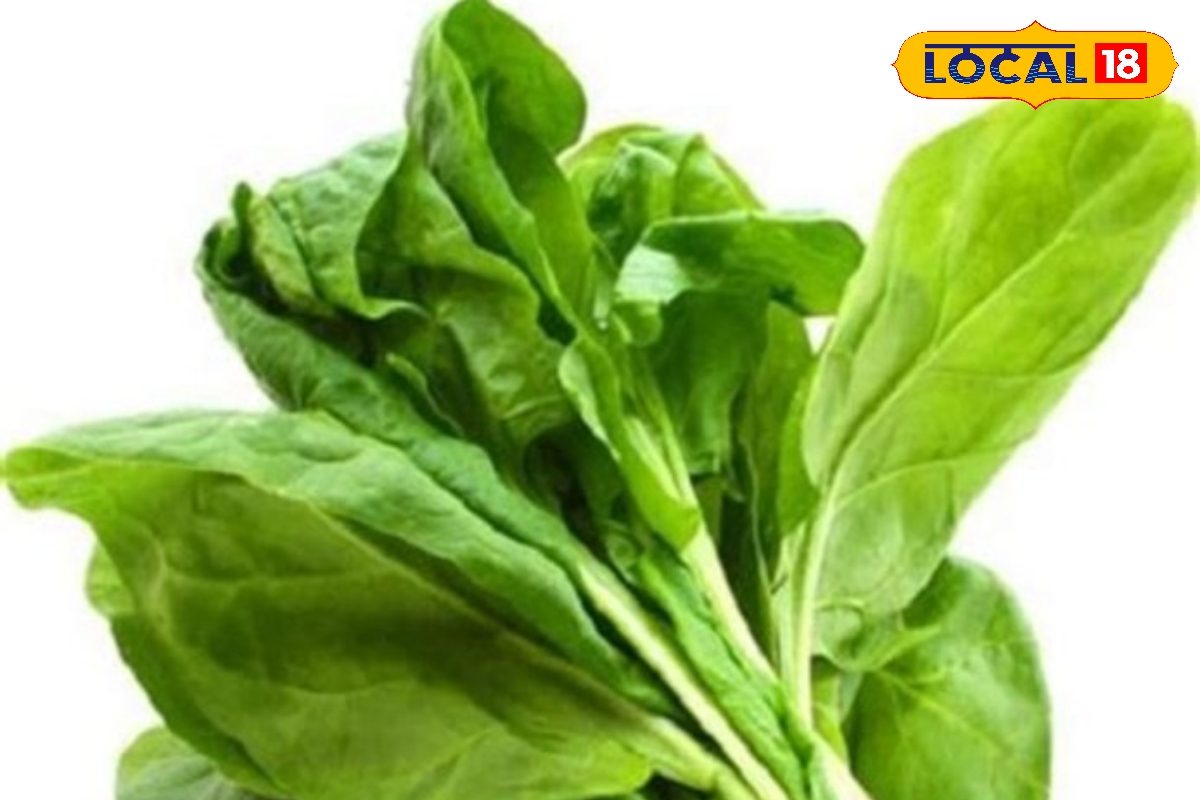 पालक- मूंगफली साग: नहीं ट्राई की होगी यह रेसिपी, अलग तरह से बनाएं यह हरा पत्ता