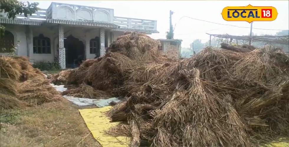 बेगूसराय में MSP पर सरकारी दावे की खुली पोल, किसान बोले- 'सरकार मर गई है क्या'