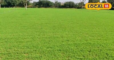 पान मैथी की खेती 