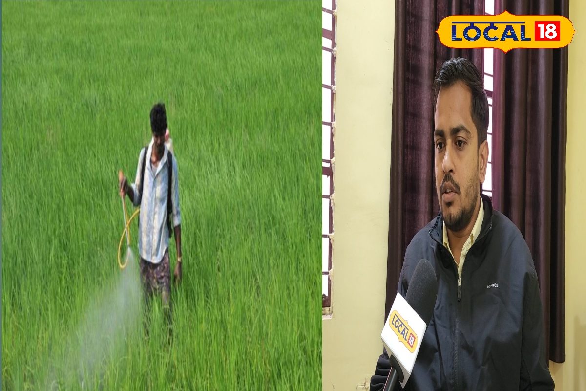 फलदार बागानों में कीट प्रबंधन से बढ़ेगा उत्पादन, इस हिसाब से मिलेगा अनुदान