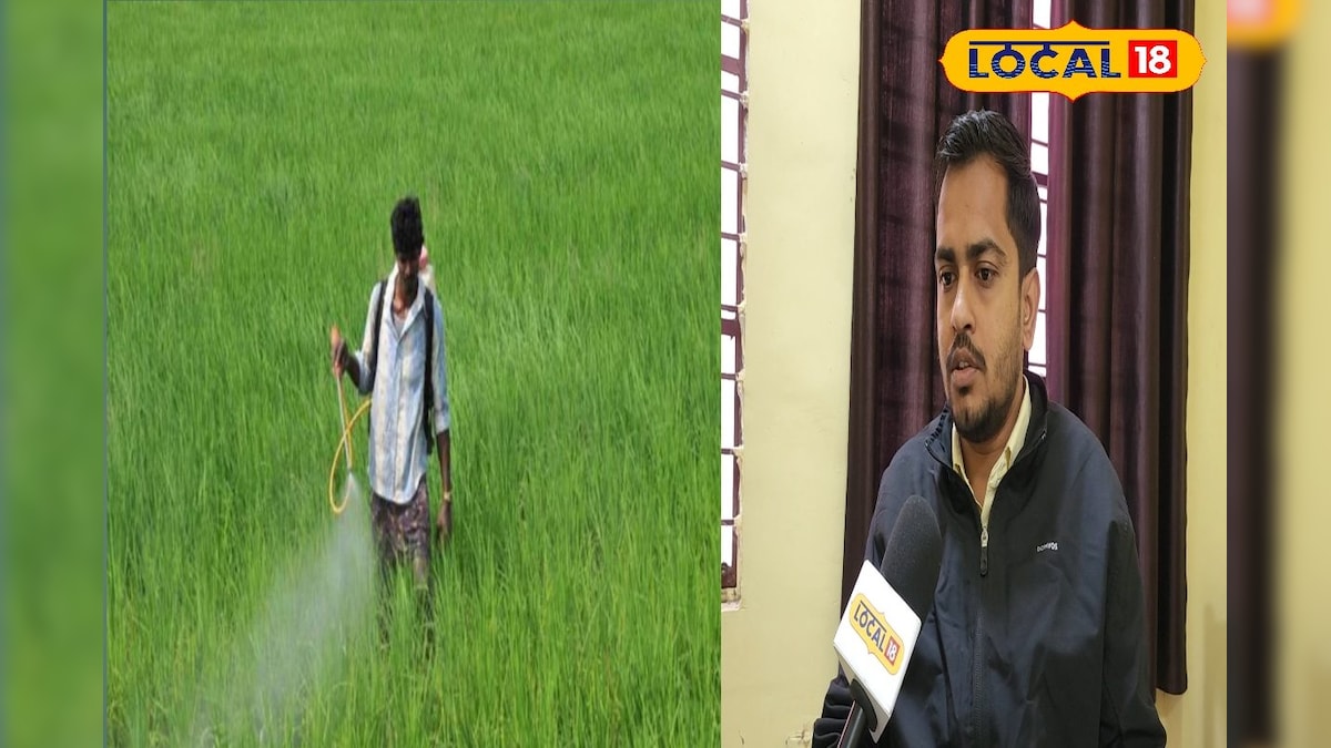 फल किसानों को राहत, कीट नियंत्रण पर सरकार दे रही अनुदान, जानें पूरी योजना