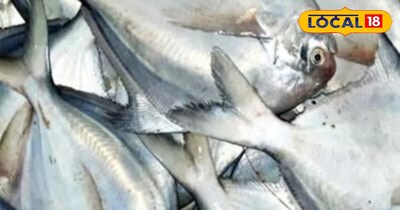 सर्दियों में स्वाद और सेहत का साथ...पोम्फ्रेट काला.