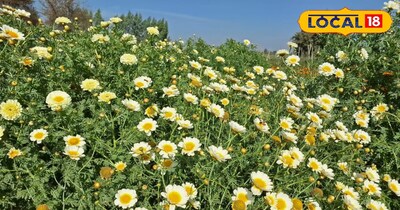 फूलों की खेती से मुनाफा 