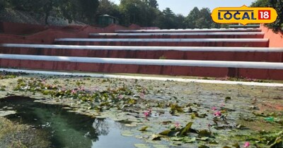 फाइल फोटो.