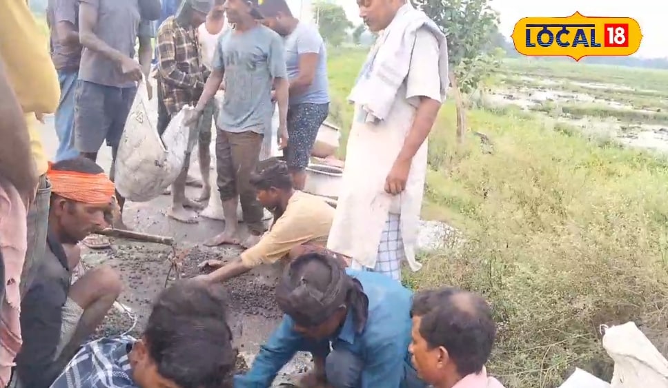 अररिया के धनश्याम कुमार 2.5 एकड़ जमीन पर करते हैं मखाना की खेती, इतनी है कमाई