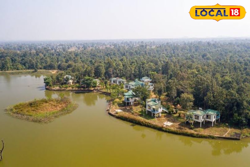 न्यू ईयर पर घूमने के लिए परफेक्ट है हरेली इको रिजॉर्ट, जंगल–झील और आइलैंड एडवेंचर से बनाएं साल की शानदार शुरुआत न्यू ईयर पर घूमने के लिए परफेक्ट है हरेली इको रिजॉर्ट, जंगल–झील और आइलैंड एडवेंचर से बनाएं साल की शानदार शुरुआत