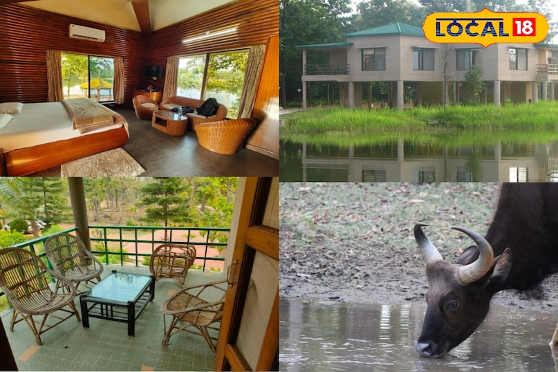 न्यू ईयर पर घूमने के लिए परफेक्ट है हरेली इको रिजॉर्ट, जंगल–झील और आइलैंड एडवेंचर से बनाएं साल की शानदार शुरुआत न्यू ईयर पर घूमने के लिए परफेक्ट है हरेली इको रिजॉर्ट, जंगल–झील और आइलैंड एडवेंचर से बनाएं साल की शानदार शुरुआत