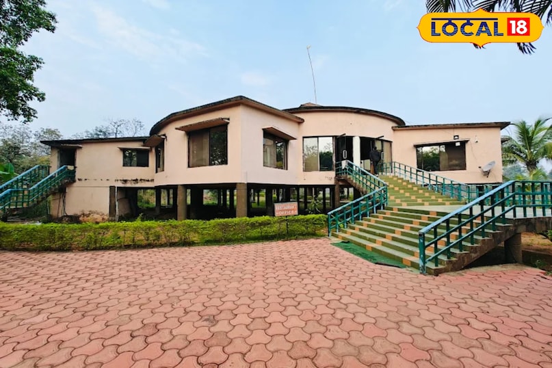 न्यू ईयर पर घूमने के लिए परफेक्ट है हरेली इको रिजॉर्ट, जंगल–झील और आइलैंड एडवेंचर से बनाएं साल की शानदार शुरुआत न्यू ईयर पर घूमने के लिए परफेक्ट है हरेली इको रिजॉर्ट, जंगल–झील और आइलैंड एडवेंचर से बनाएं साल की शानदार शुरुआत