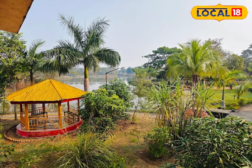 न्यू ईयर पर घूमने के लिए परफेक्ट है हरेली इको रिजॉर्ट, जंगल–झील और आइलैंड एडवेंचर से बनाएं साल की शानदार शुरुआत न्यू ईयर पर घूमने के लिए परफेक्ट है हरेली इको रिजॉर्ट, जंगल–झील और आइलैंड एडवेंचर से बनाएं साल की शानदार शुरुआत