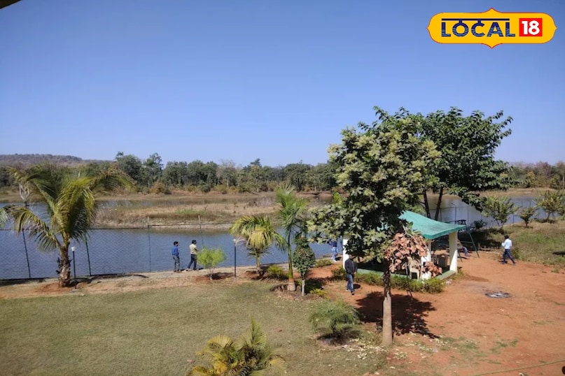 न्यू ईयर पर घूमने के लिए परफेक्ट है हरेली इको रिजॉर्ट, जंगल–झील और आइलैंड एडवेंचर से बनाएं साल की शानदार शुरुआत न्यू ईयर पर घूमने के लिए परफेक्ट है हरेली इको रिजॉर्ट, जंगल–झील और आइलैंड एडवेंचर से बनाएं साल की शानदार शुरुआत