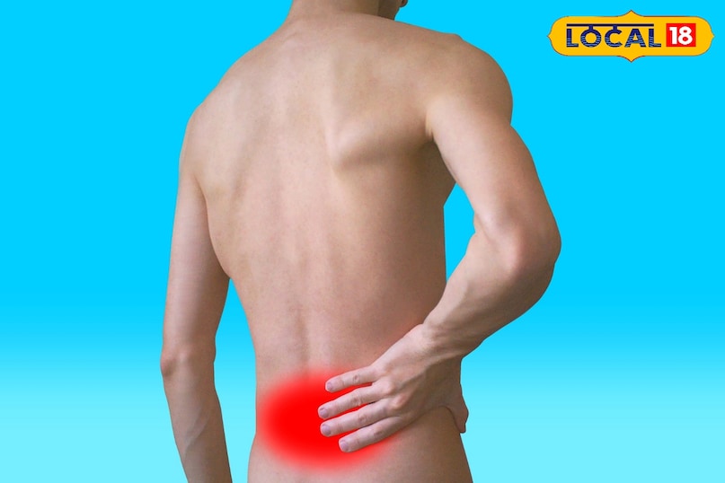 Causes of lower back pain