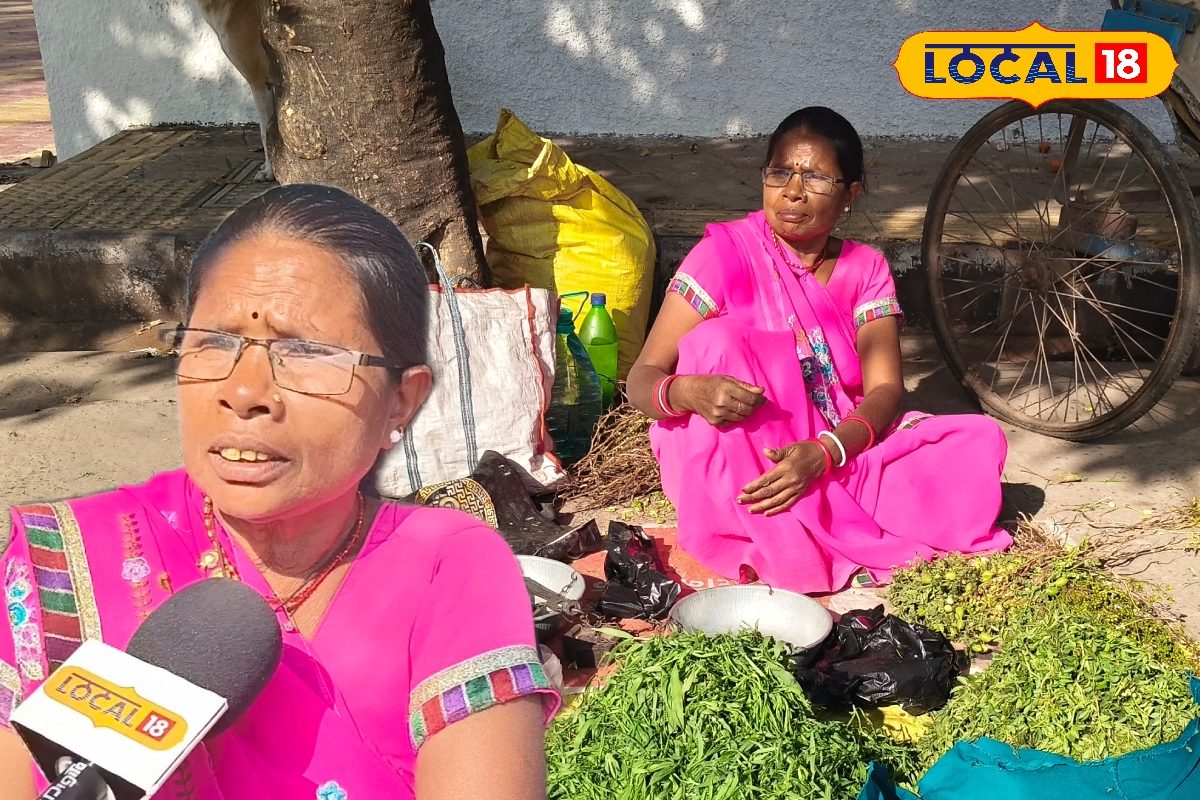 ठंड आते ही बाजार में छाई तीवरा और चना भाजी, क्यों इस सब्जी की इतनी डिमांड