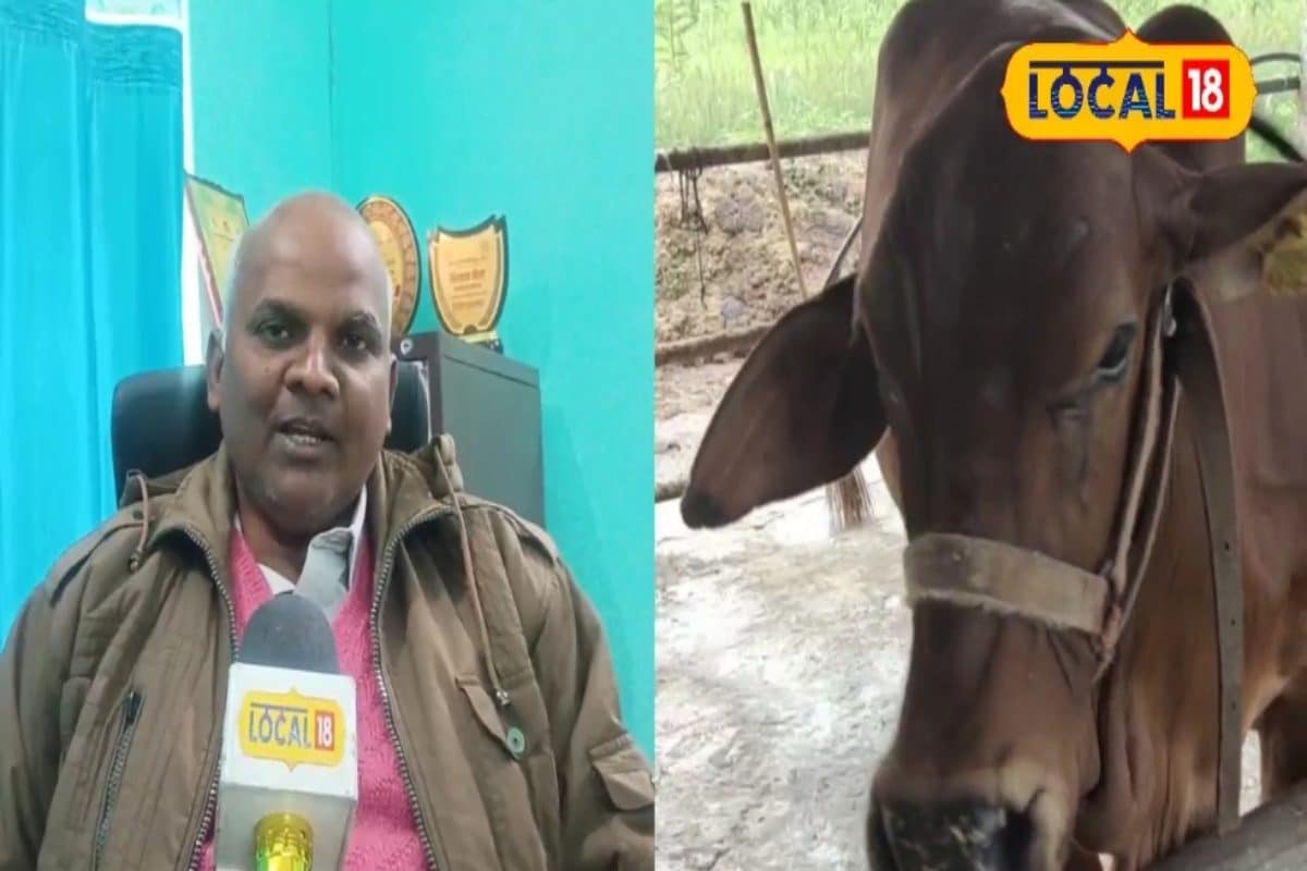 1 लाख की लागत.. 3 लाख की कमाई! ऐसा बिजनेस जिसकी डिमांड कभी नहीं होगी खत्म