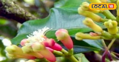 प्रतीकात्मक