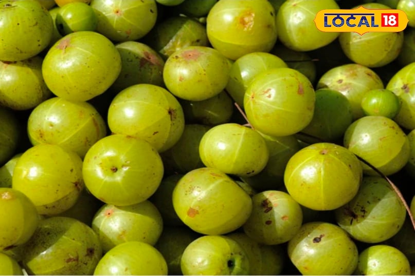 आंवला सर्दियों के मौसम में इम्यूनिटी को बेहतर बनाने के लिए आप अमरुद अनार पपीता से नींबू और अमला संतरा जैसे फल खा सकते हैं