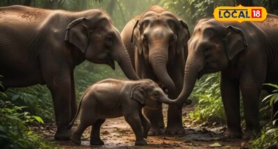 सांकेतिक फोटो.