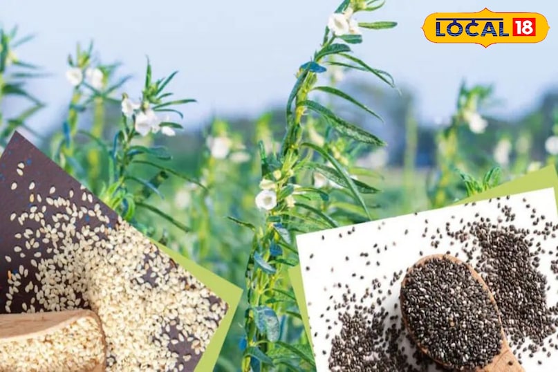 सुपर फूड 