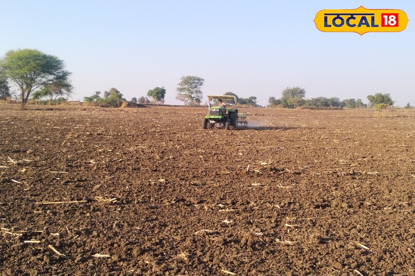 फल की खेती