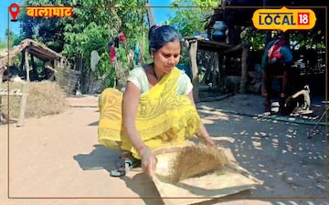 चिरोटा के बीज