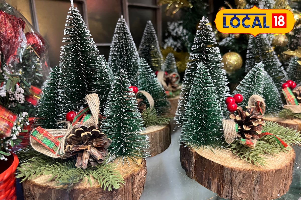 महंगी सजावट भूल जाइए, मलाड के इस होलसेल बाजार में क्रिसमस की हर चीज बेहद सस्ती