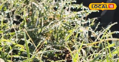 Rajasthan Weather Update. राजस्थान में बढ़ी ठंड और कोहरे का असर.