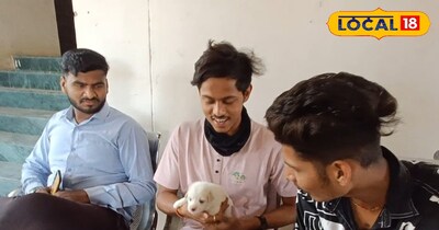 कुत्ता नस्ल 