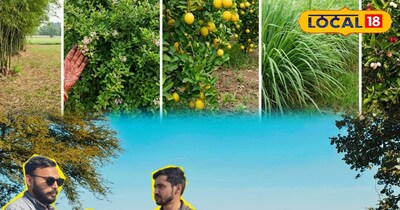 खेतों में बाउंड्री 