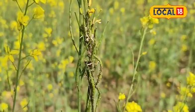 प्रतीकात्मक