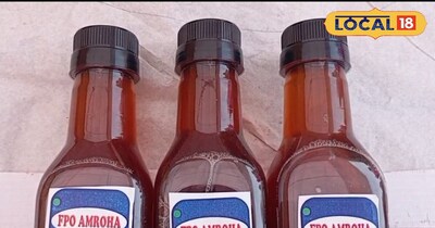 जामुन का ऑर्गेनिक सिरका किया तैयार।