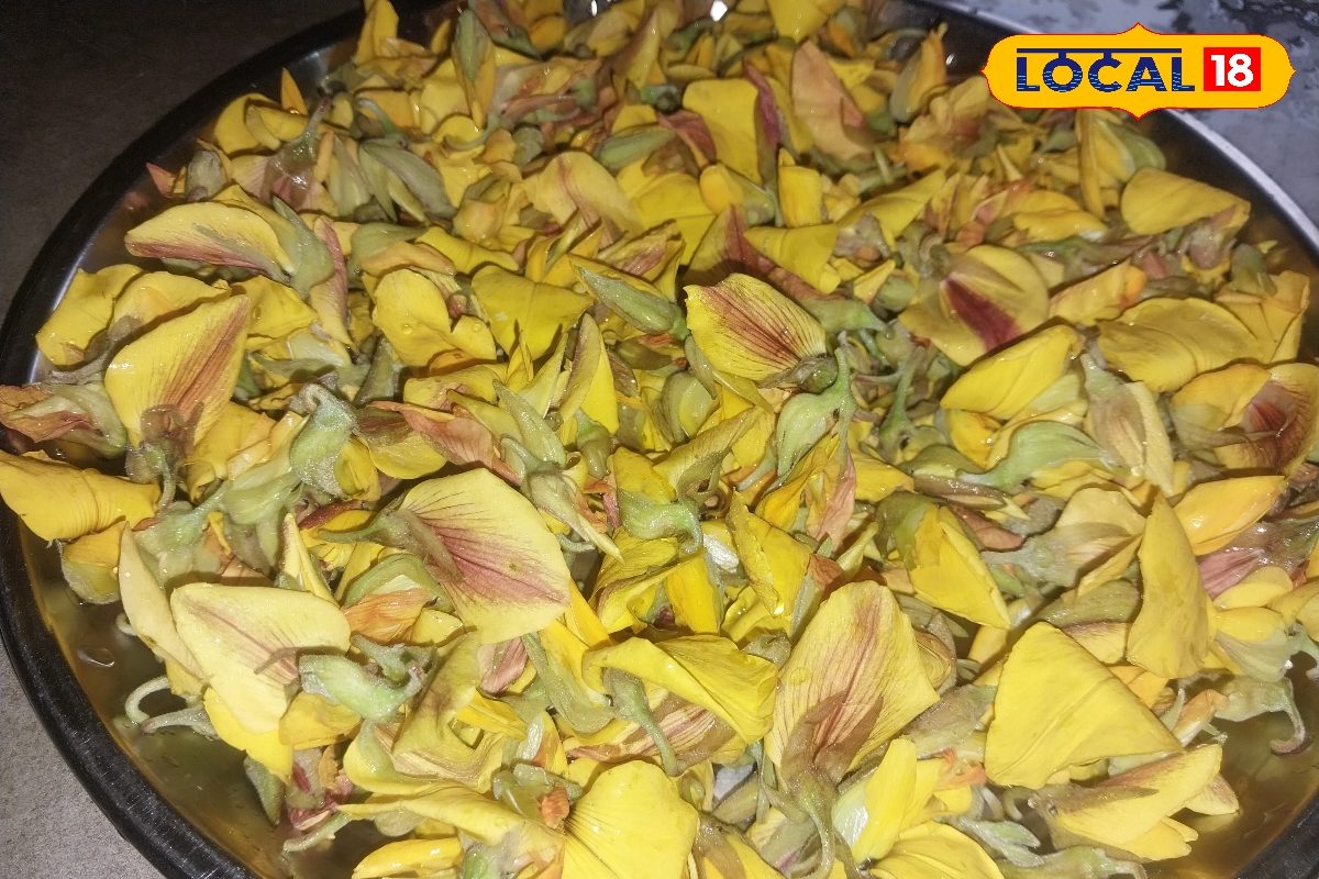 हरे पत्तों का नहीं, बनाएं पीले सनई के फूलों का साग, पंचफोरन से बनेगा लाजवाब