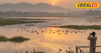 यूक्रेन और रूस युद्ध के बाद देहरादून के आसन बैराज में कम हुई पक्षियों की आमद 