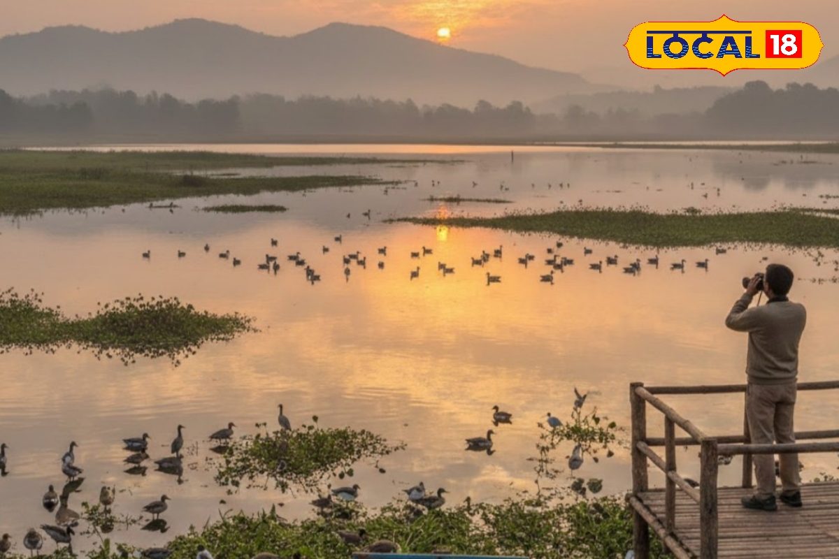 यूक्रेन-रूस युद्ध की आंच हिमालय तक, देहरादून के आसन बैराज से रूठे मेहमान परिंद