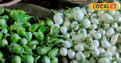 इन बैगन की खेती से अच्छा मुनाफा होगा
