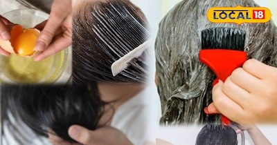 विंटर हेयर केयर टिप्स: सर्दियों में बालों के लिए वरदान है अंडा मास्क, रूखेपन से मिलेगा छुटकारा.