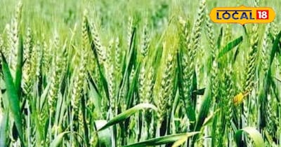 प्रतीकात्मक