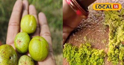  आंवला की तीखी चटनी, स्वाद भी लाजवाब, <br>