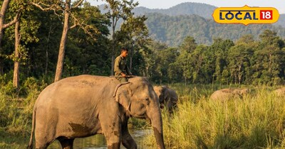 प्रतीकात्मक तस्वीर 