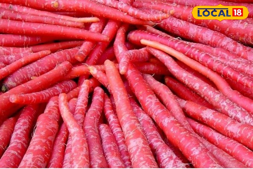 डॉक्टर के अनुसार ठंड के समय में वैसे तो अधिकतर लोग गाजर का सेवन करते ही है. और इसका सेवन करने से उनको कई बीमारियों से मुक्ति भी मिलती है.उनका मानना है कि ठंड के समय में हर किसी को इसका सेवन करना चाहिए ताकि वह स्वस्थ रह सके.