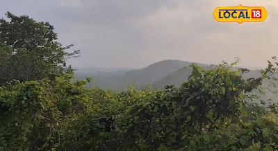 Jharkhand Weather Update - घना कोहरा ऐसा कि विजिबिलिटी मात्र 50 मीटर तक रह गई, आ