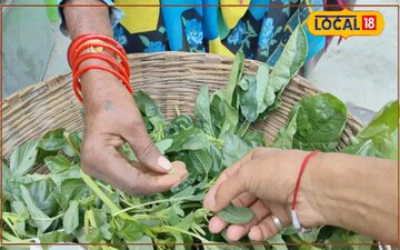 छतरपुर की राज भाजी 