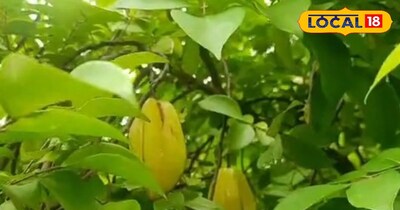 स्टार फ्रूट