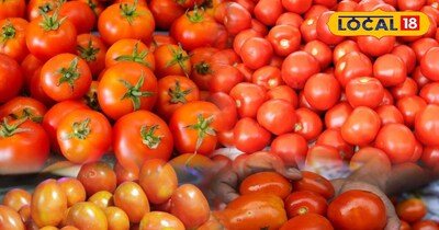 टमाटर स्टोरेज टिप्स: सर्दियों में अपनाएं ये तरीके, नहीं सड़ेंगे टमाटर.